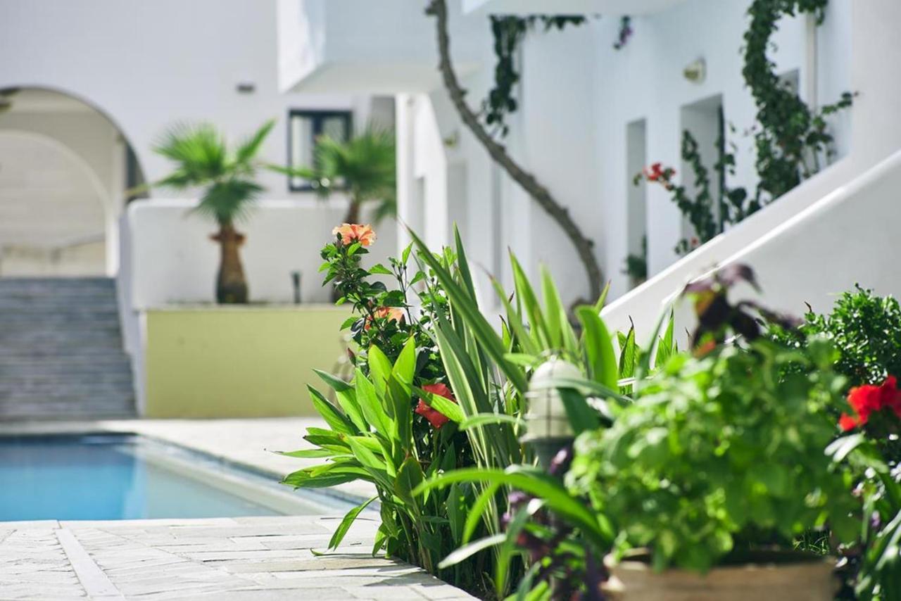 Eva Suites & Apartments Agia Marina Exterior foto